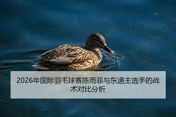 2026年国际羽毛球赛陈雨菲与东道主选手的战术对比分析