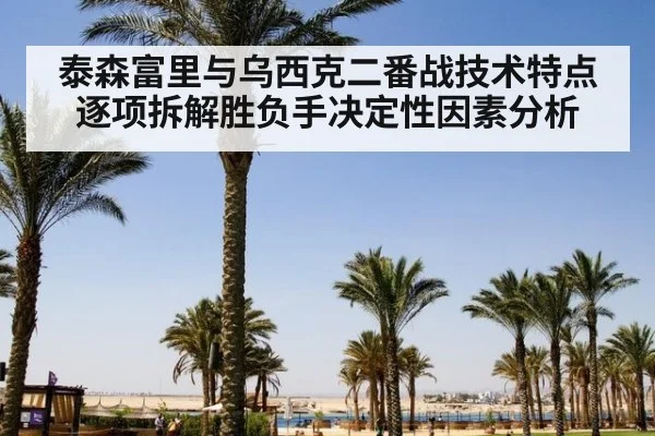 泰森富里与乌西克二番战技术特点逐项拆解胜负手决定性因素分析